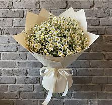 Букет цветов из:  Ромашки #REPLACE_PRED# Должанской